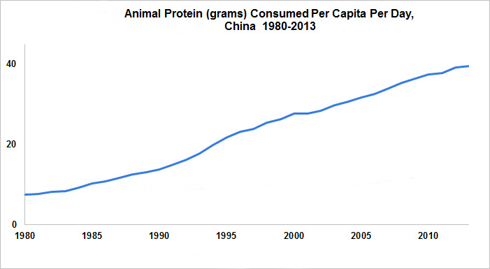 Animal Protein Consumed Per Capita Per Day