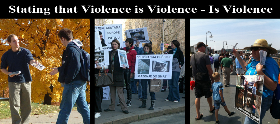 Violence_is_Violence